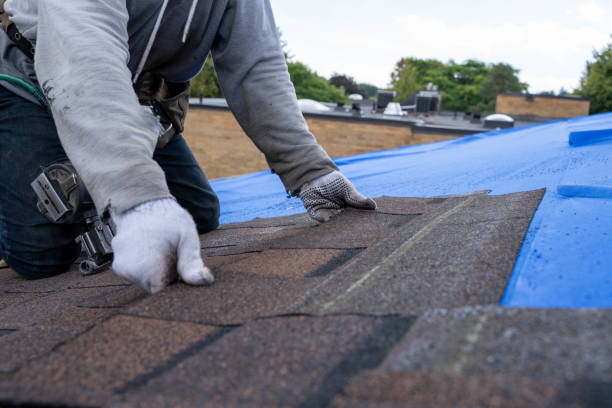 Best Flat Roof Repair Services  in Jefferson, NC