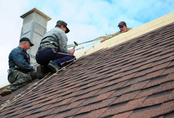 Best Roof Maintenance Services  in Jefferson, NC